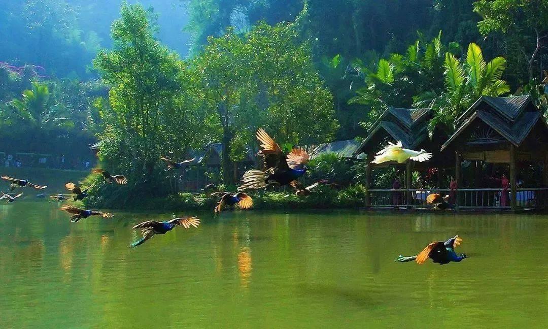 光明大陆