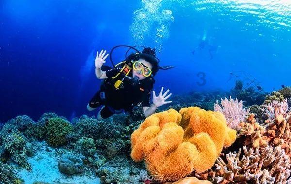 母亲去世远嫁女儿不能赶回家能送花圈吗？游戏画面
