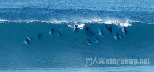 逃离未知丛林2