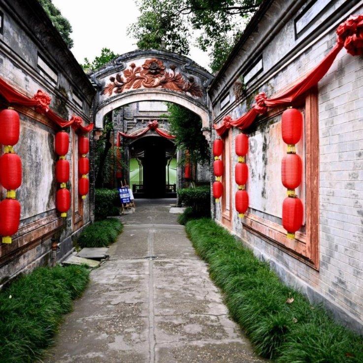 逃离橡子树种植地
